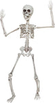 20" Poseable Skeleton