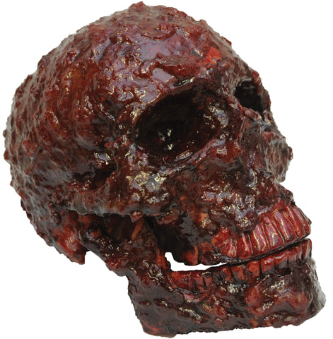 Blood Scab Resin Skull Prop