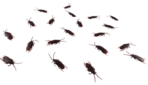 Roach Explosion - Set of 20
