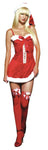 Women's Missy Claus Holiday Dress