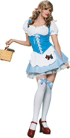 Women's Picnic Chick Costume