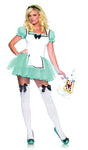 Women's Alice Enchanted Costume