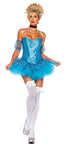 Women's Cinderella Costume