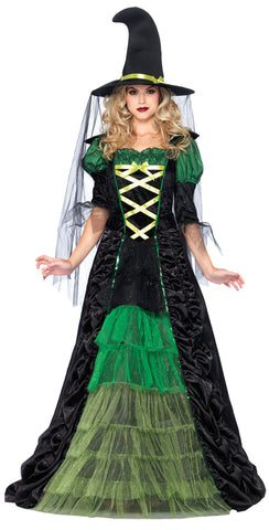 Women's Storybook Witch Costume