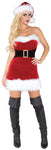 Women's Mistress Claus Costume